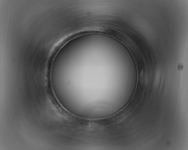 X0000111500388200907281256