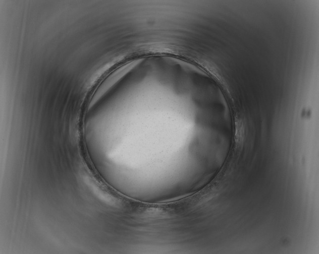 X0000111500390200907281256