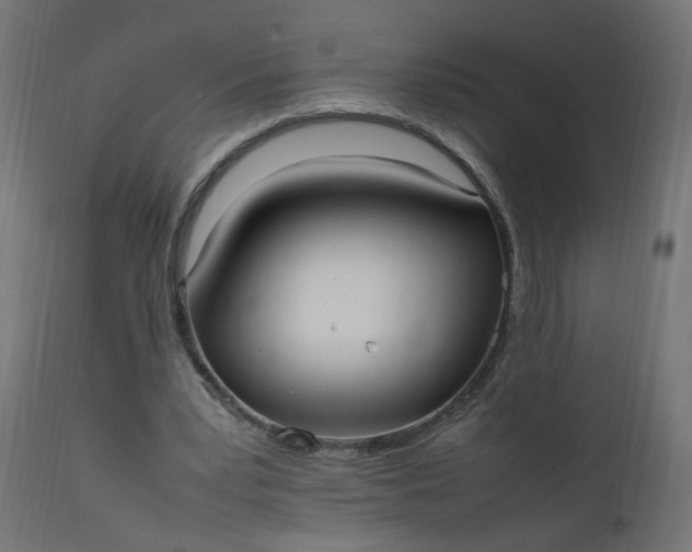 X0000111500391200907281256