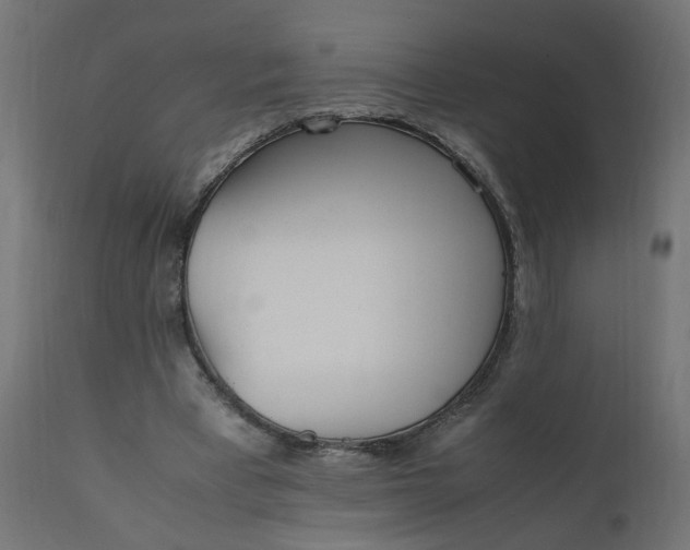 X0000111500393200907281256