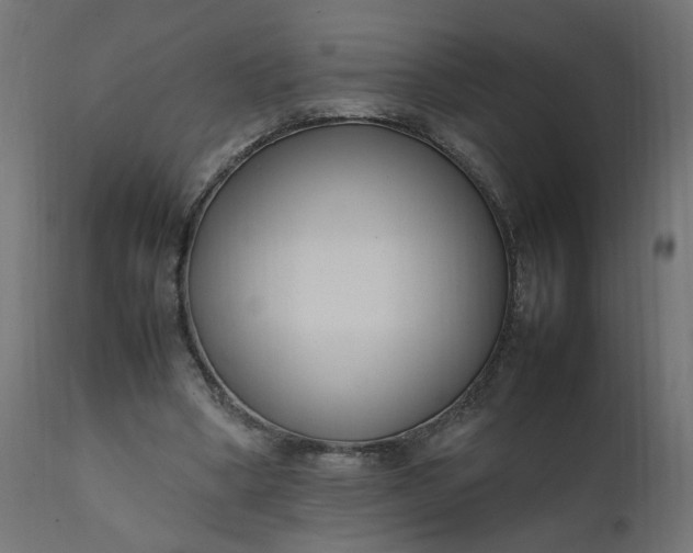 X0000111500394200907281256