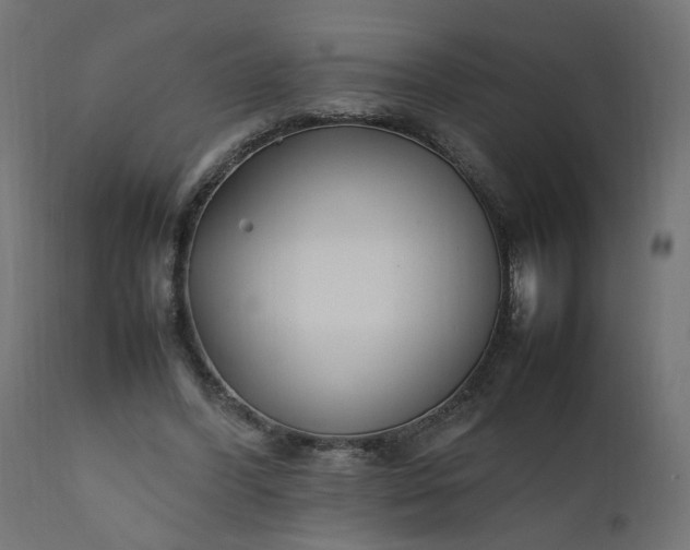 X0000111500396200907281256