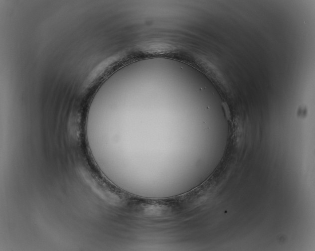 X0000111500400200907281256