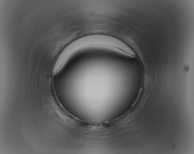 X0000111500401200907281256