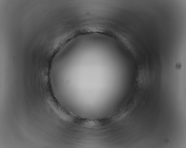 X0000111500402200907281256