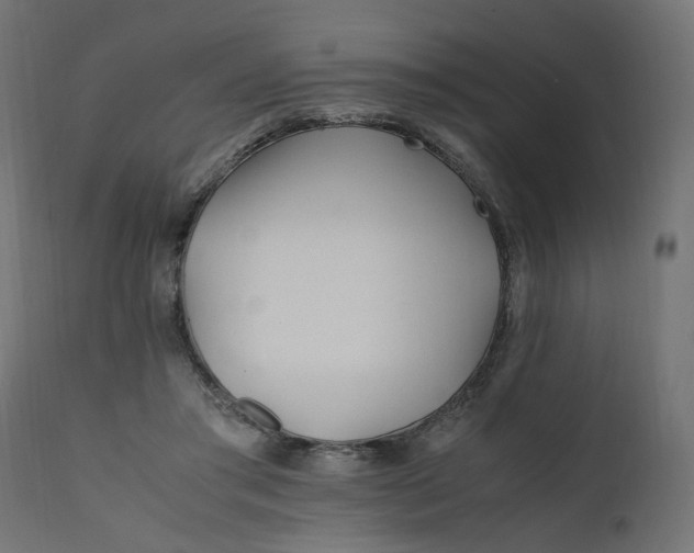 X0000111500405200907281256