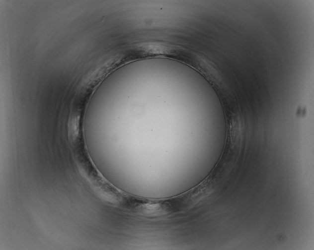 X0000111500406200907281256