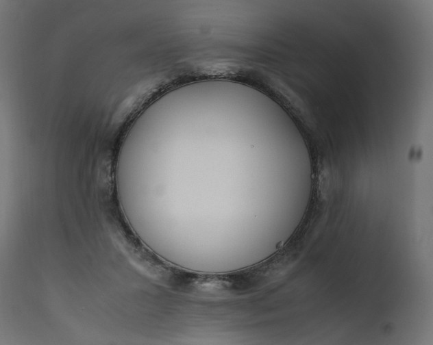 X0000111500407200907281256