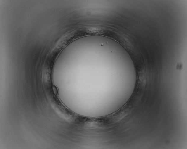 X0000111500408200907281256