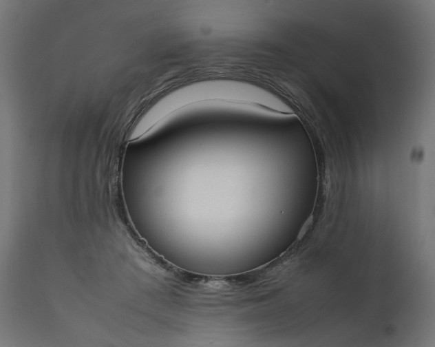 X0000111500409200907281256