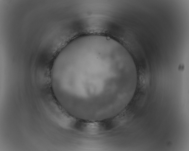 X0000111500411200907281256