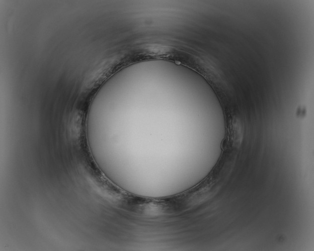 X0000111500412200907281256