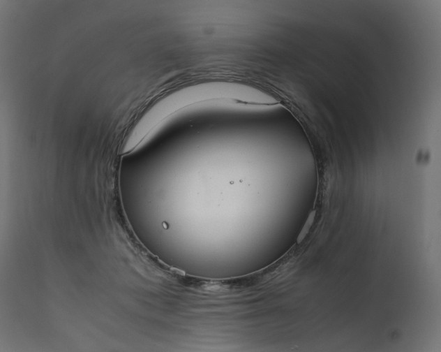 X0000111500413200907281256