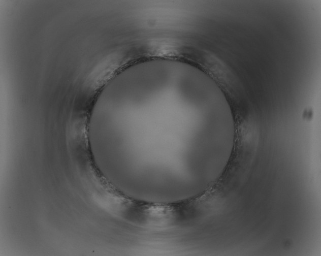 X0000111500415200907281256