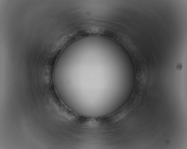 X0000111500416200907281256