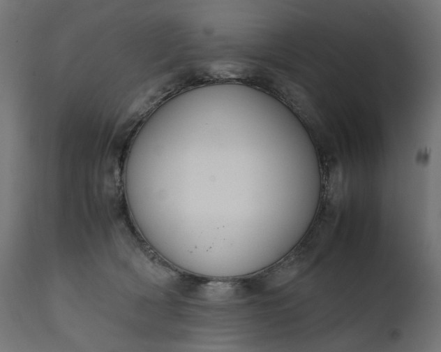 X0000111500418200907281256