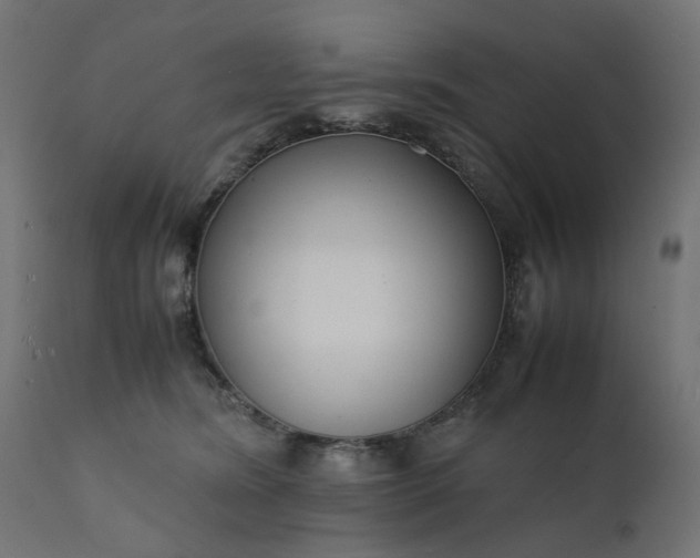 X0000111500420200907281256