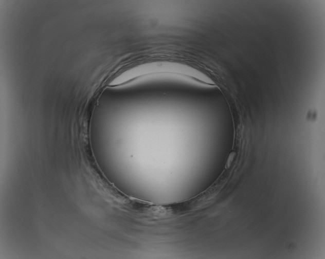 X0000111500421200907281256