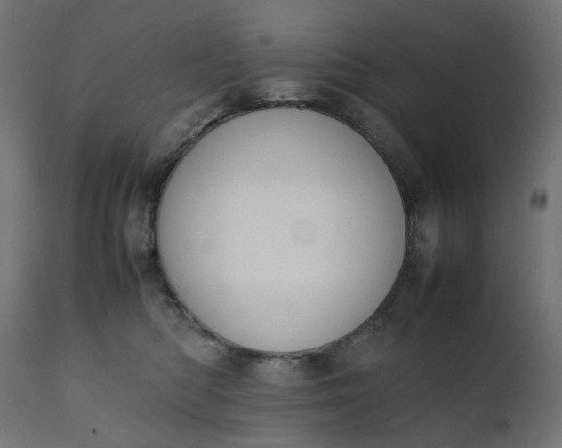 X0000111500422200907281256