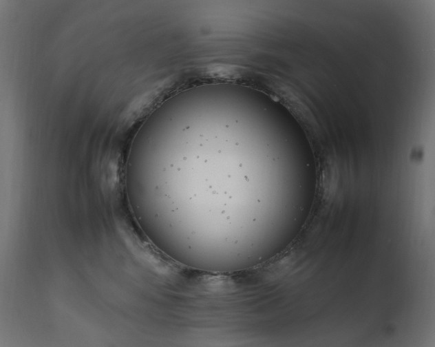 X0000111500424200907281256