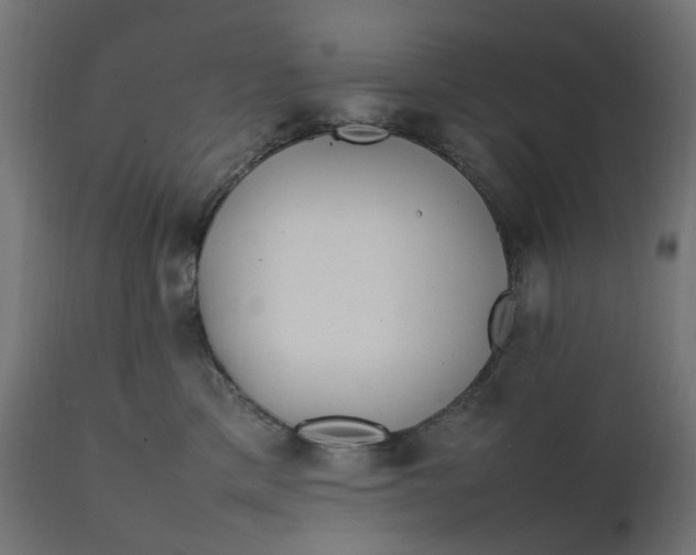 X0000111500425200907281256