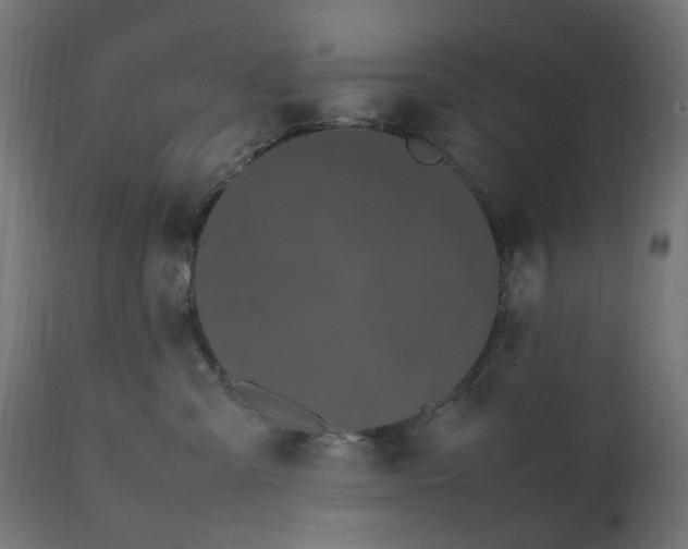 X0000111500427200907281256