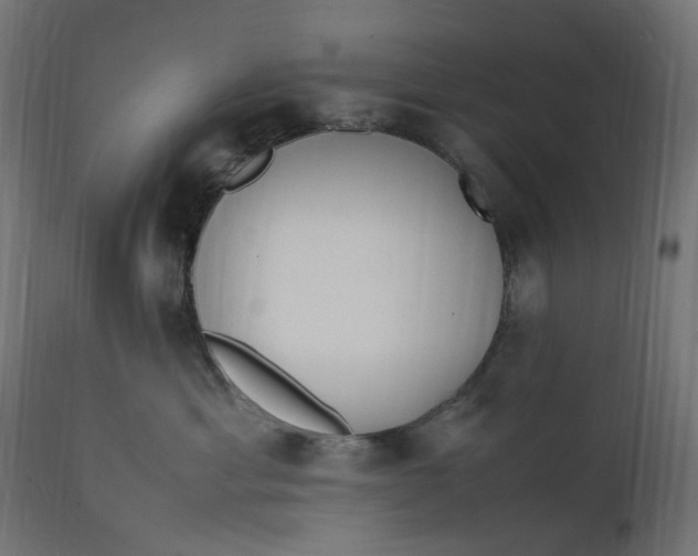 X0000111500429200907281256