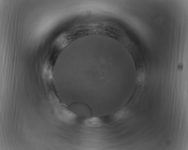 X0000111500431200907281256