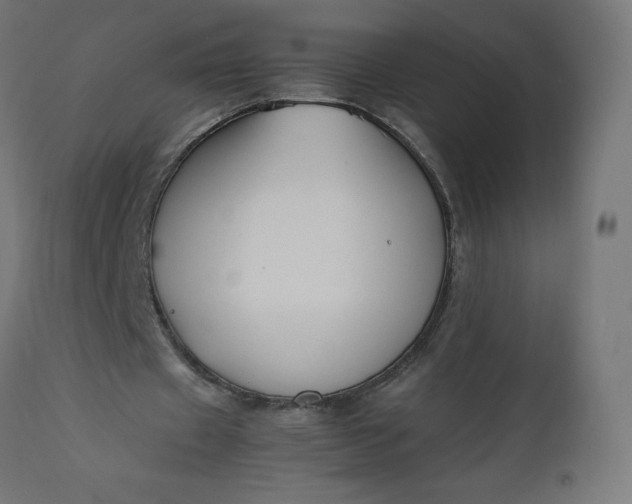 X0000111500433200907281255