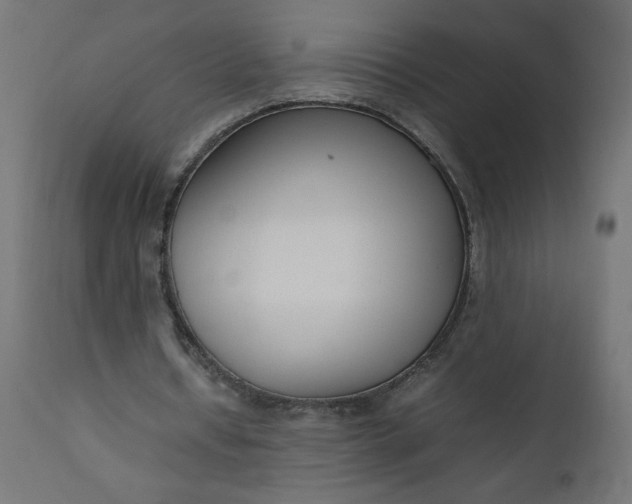 X0000111500434200907281255