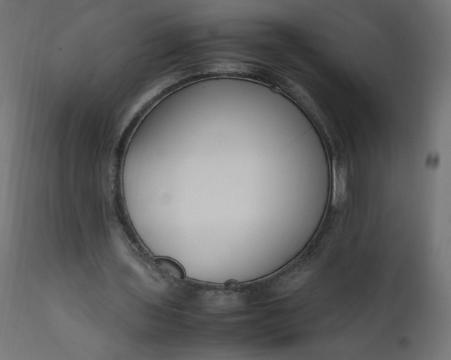 X0000111500435200907281255