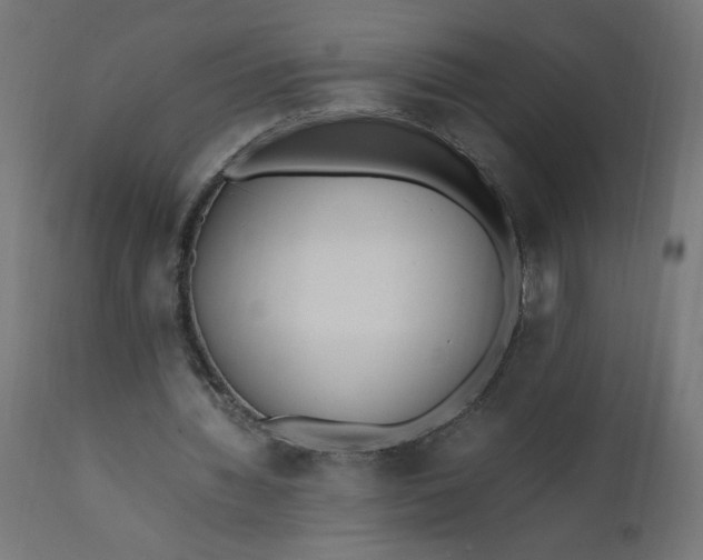 X0000111500436200907281255