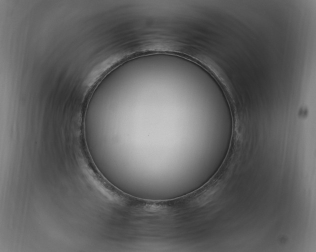 X0000111500437200907281255