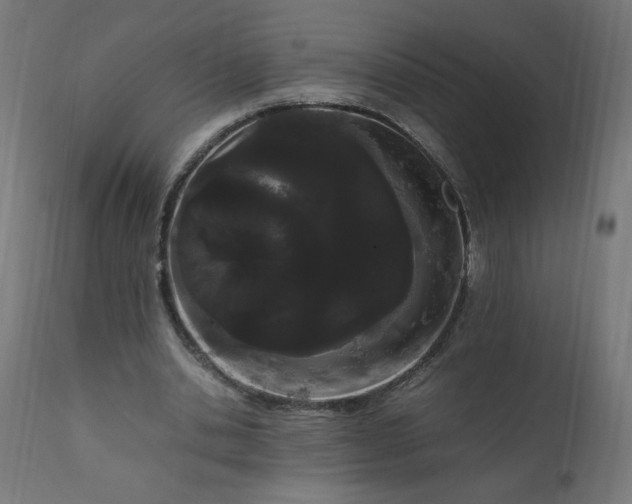 X0000111500438200907281255