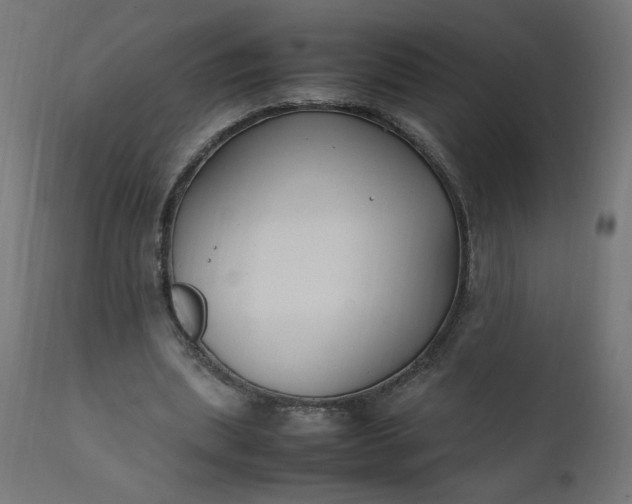 X0000111500439200907281255