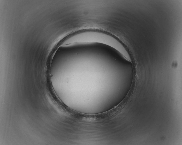 X0000111500440200907281255