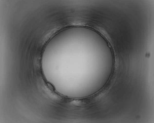 X0000111500441200907281255