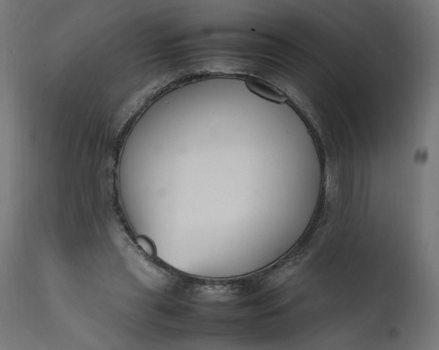 X0000111500445200907281255