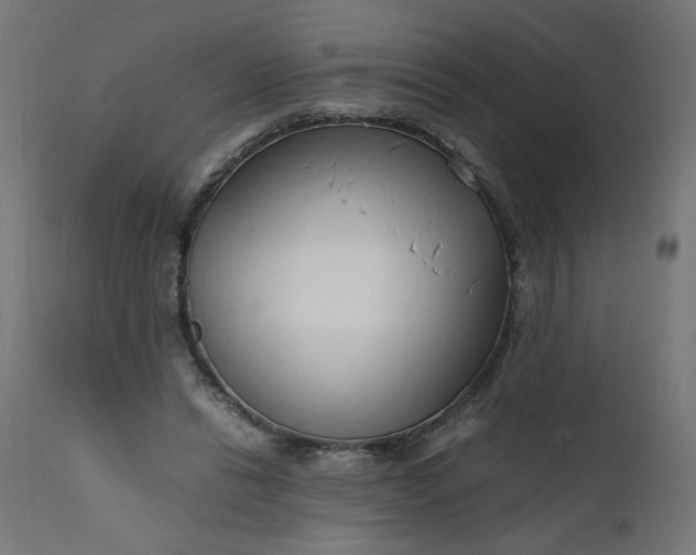 X0000111500446200907281255