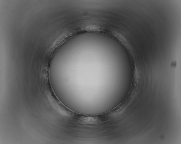 X0000111500449200907281255