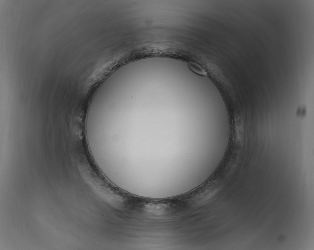 X0000111500450200907281255