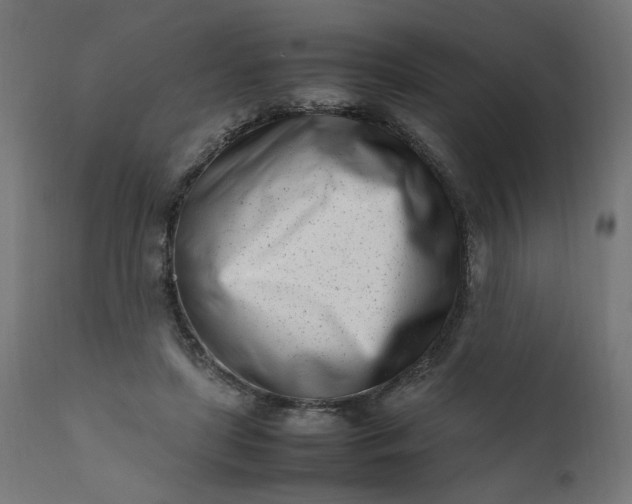 X0000111500451200907281255