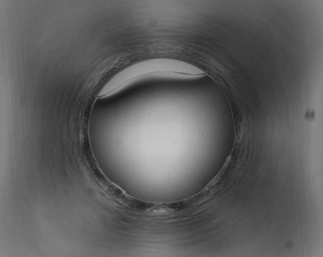 X0000111500452200907281255