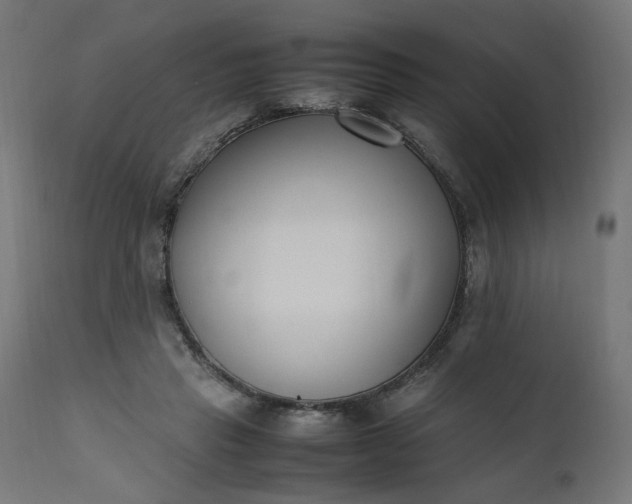 X0000111500453200907281255