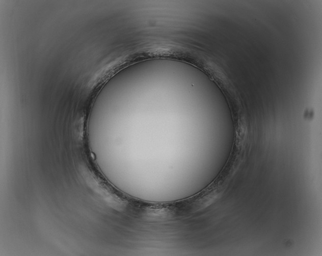 X0000111500454200907281255