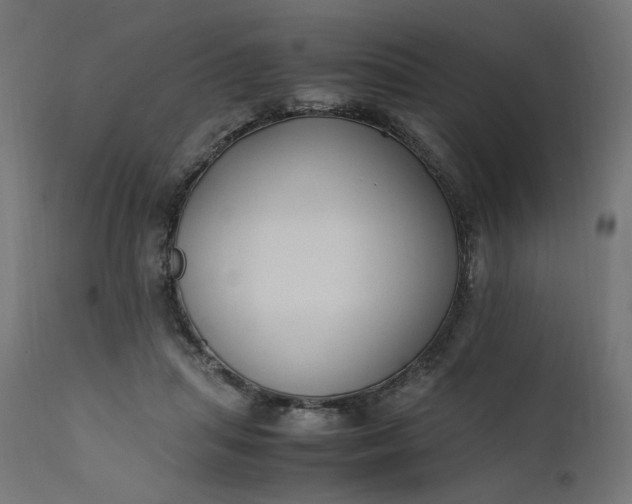 X0000111500455200907281255