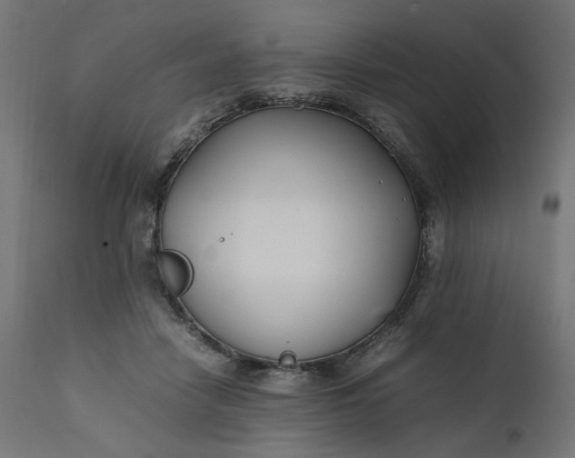 X0000111500458200907281255