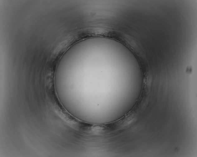 X0000111500462200907281255