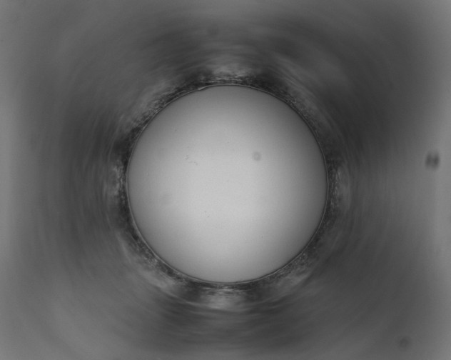 X0000111500463200907281255