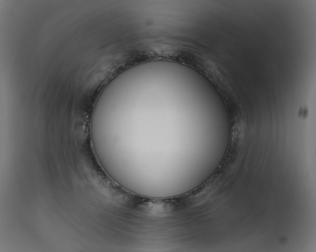 X0000111500464200907281255